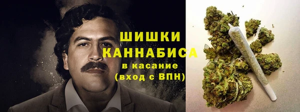 экстази Белокуриха