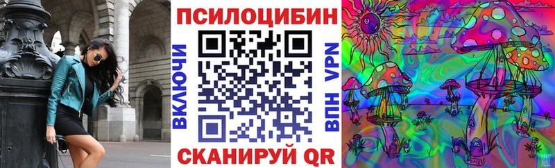 где продают   Гай  Псилоцибиновые грибы GOLDEN TEACHER 