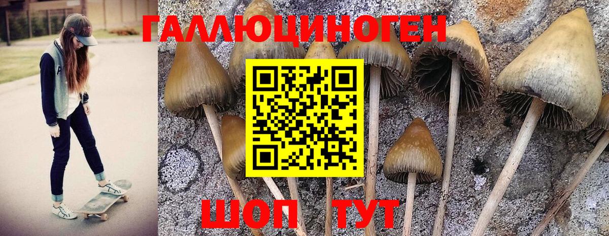 Псилоцибиновые грибы MAGIC MUSHROOMS  Вход с VPN  как найти закладки  Гай 